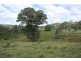 Tenterfield NSW 2372