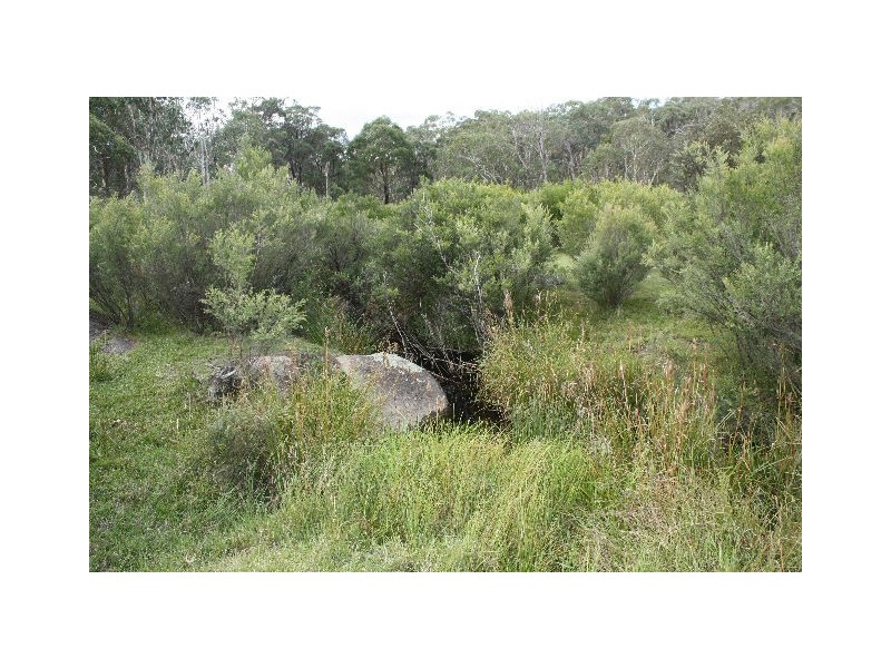 Tenterfield NSW 2372