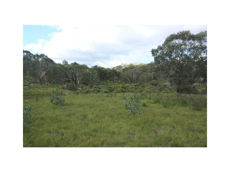 Tenterfield NSW 2372