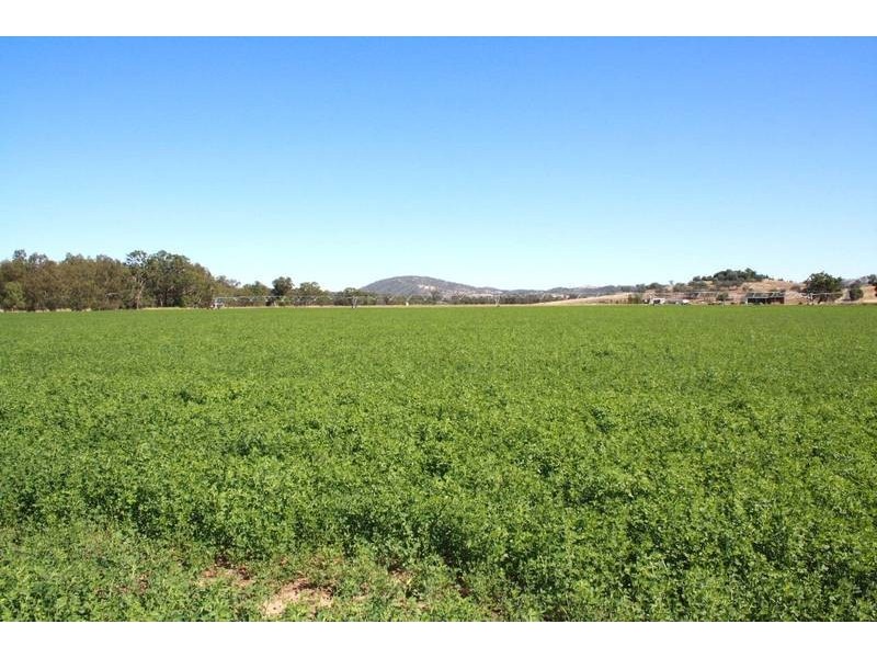 Tenterfield NSW 2372