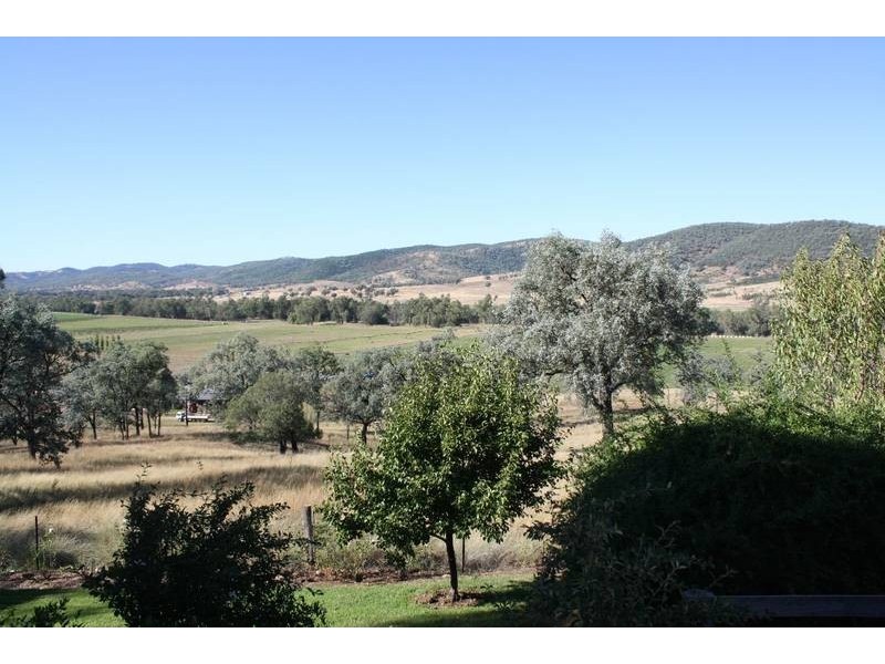 Tenterfield NSW 2372