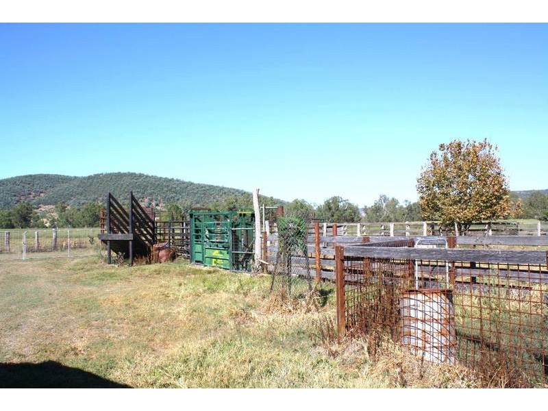 Tenterfield NSW 2372