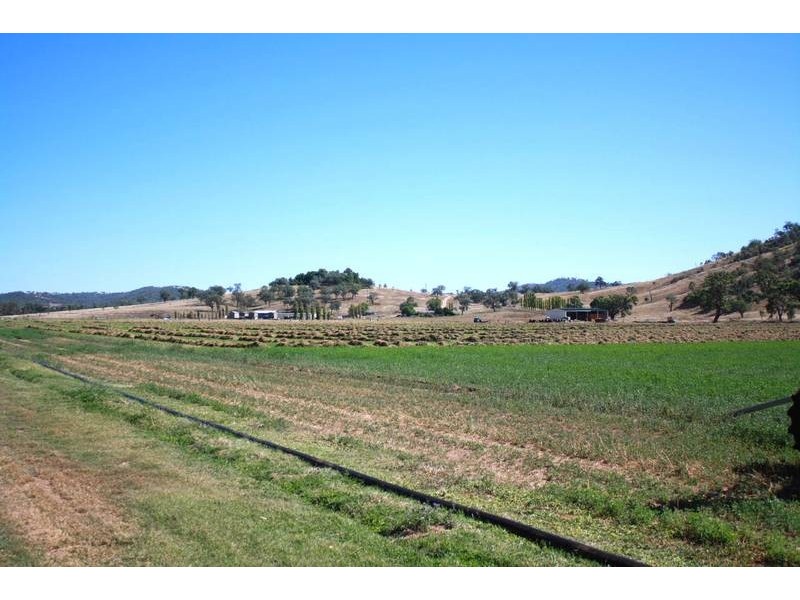 Tenterfield NSW 2372