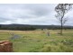 Tenterfield NSW 2372