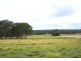 Tenterfield NSW 2372