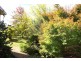 Tenterfield NSW 2372
