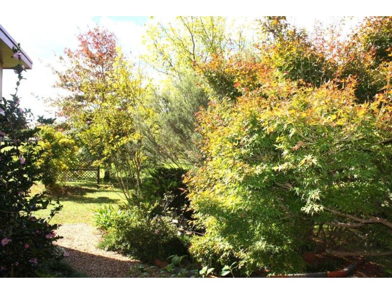 Tenterfield NSW 2372