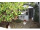 Tenterfield NSW 2372