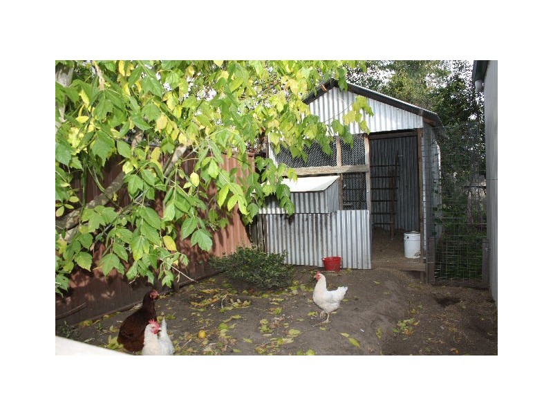 Tenterfield NSW 2372