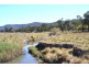 Tenterfield NSW 2372