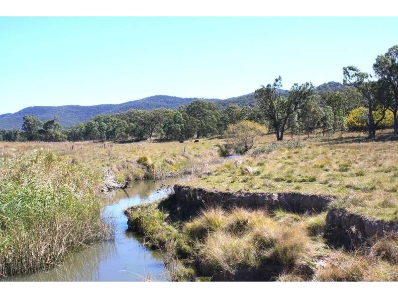 Tenterfield NSW 2372