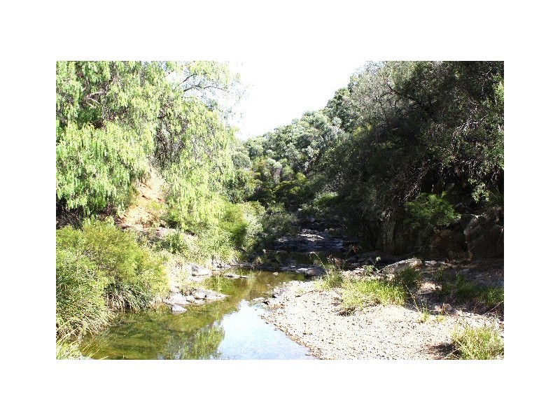 Tenterfield NSW 2372
