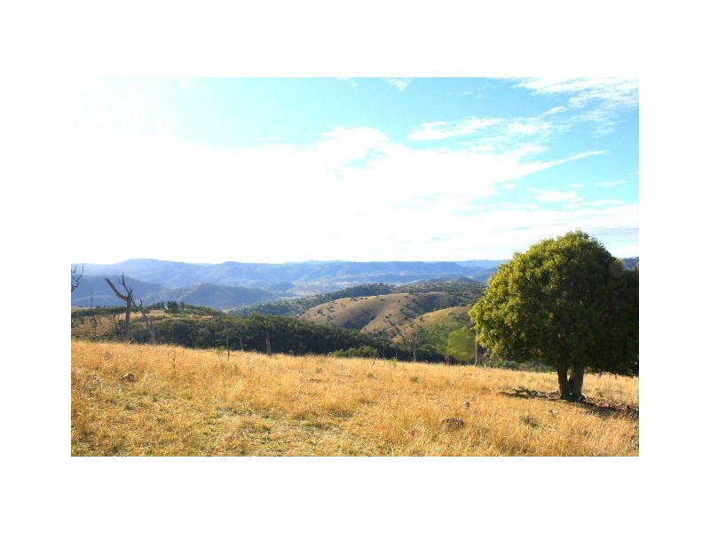 Tenterfield NSW 2372