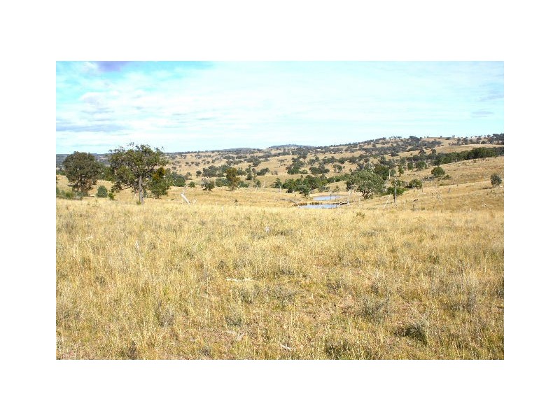 Tenterfield NSW 2372