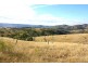 Tenterfield NSW 2372