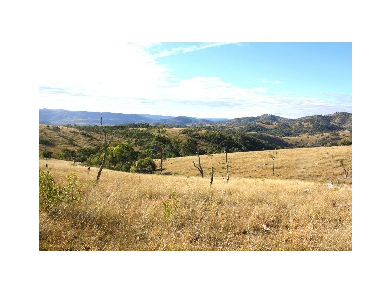 Tenterfield NSW 2372