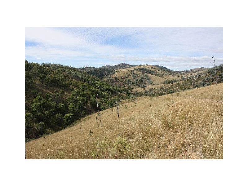 Tenterfield NSW 2372