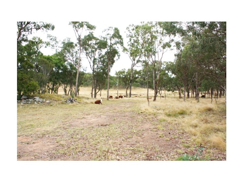 Tenterfield NSW 2372