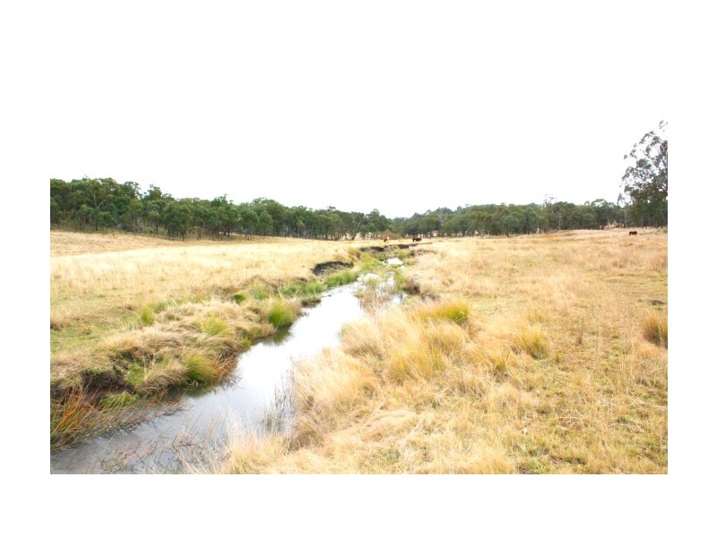 Tenterfield NSW 2372