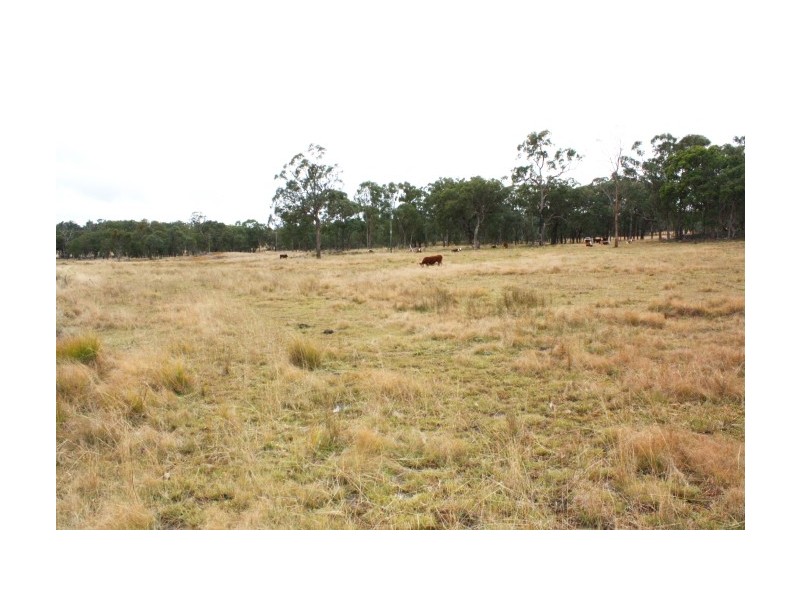 Tenterfield NSW 2372