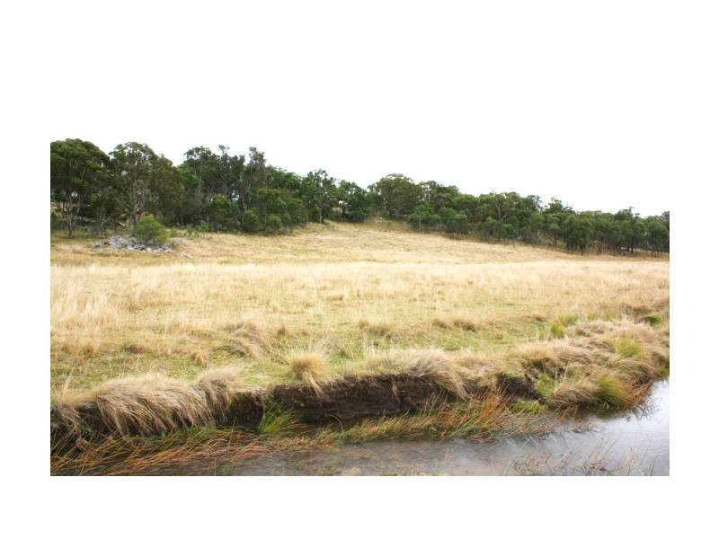 Tenterfield NSW 2372