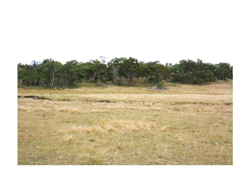 Tenterfield NSW 2372