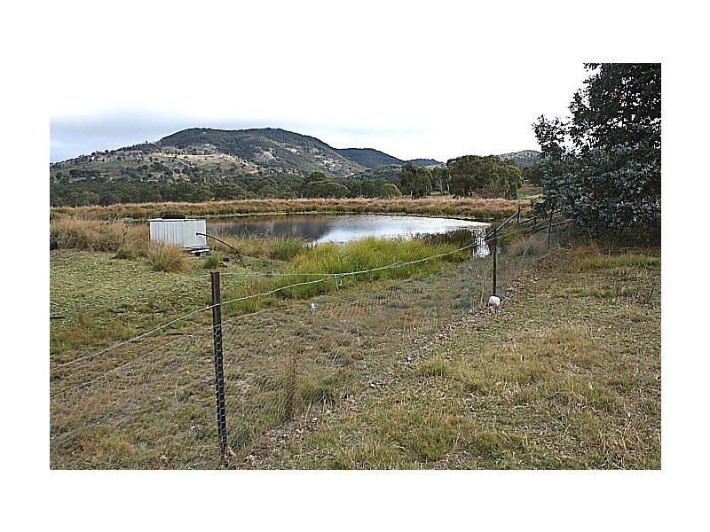 Tenterfield NSW 2372