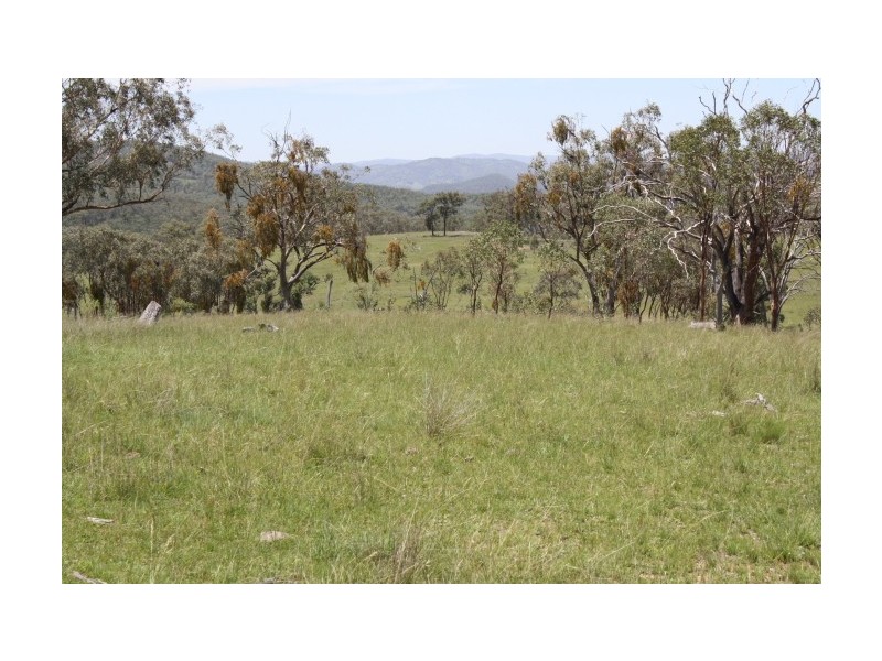 Tenterfield NSW 2372