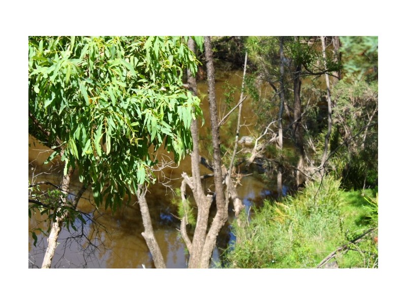 Tenterfield NSW 2372