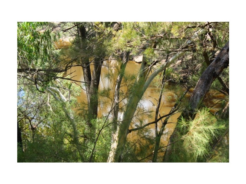 Tenterfield NSW 2372