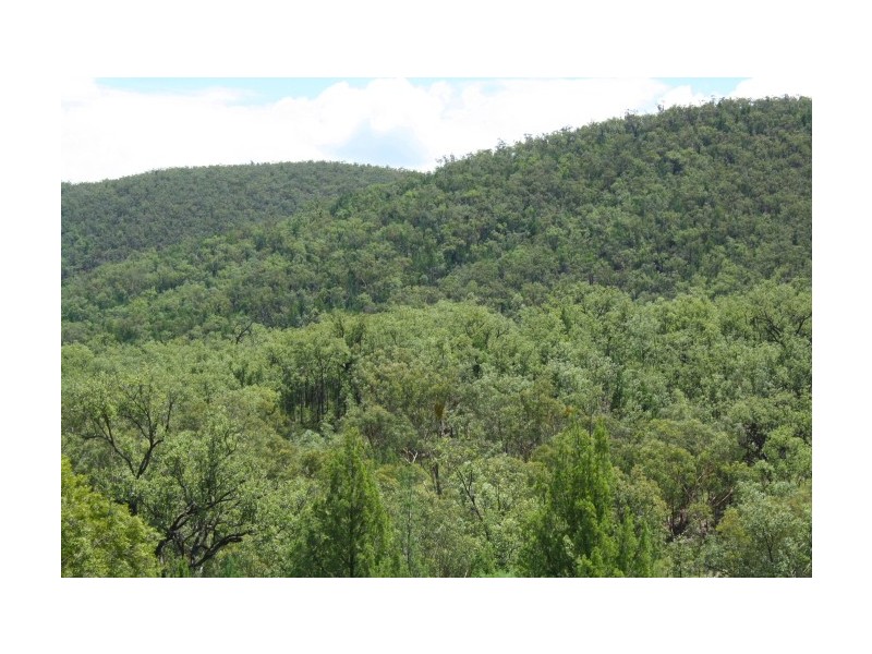 Tenterfield NSW 2372