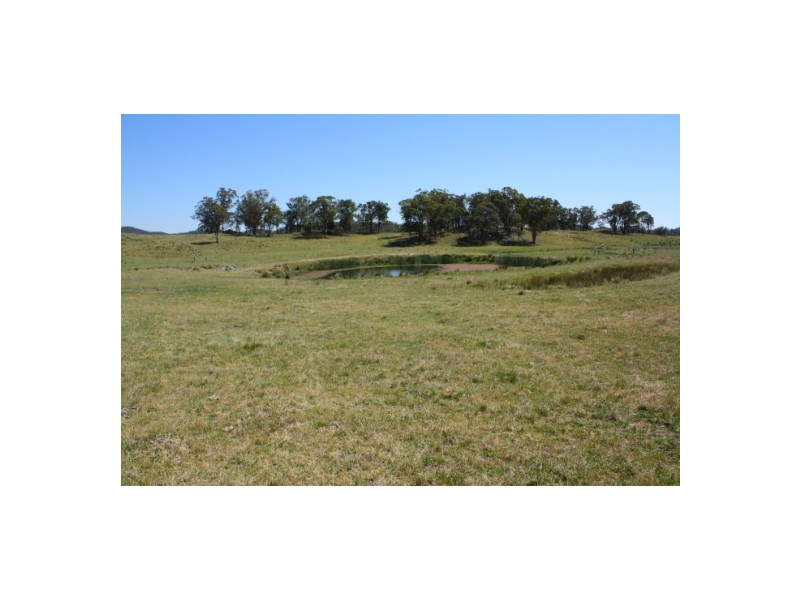 Tenterfield NSW 2372