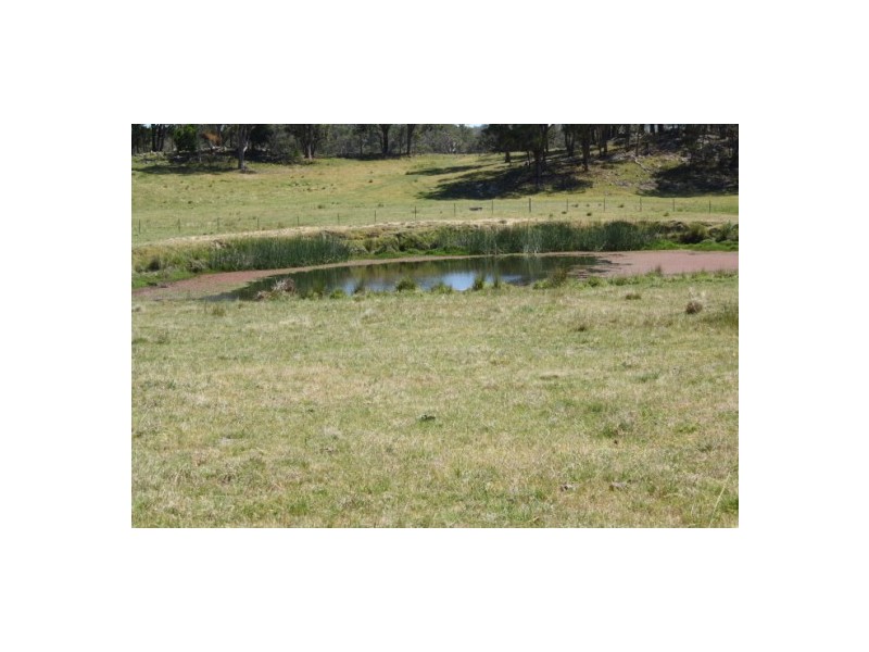 Tenterfield NSW 2372