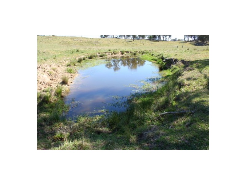 Tenterfield NSW 2372