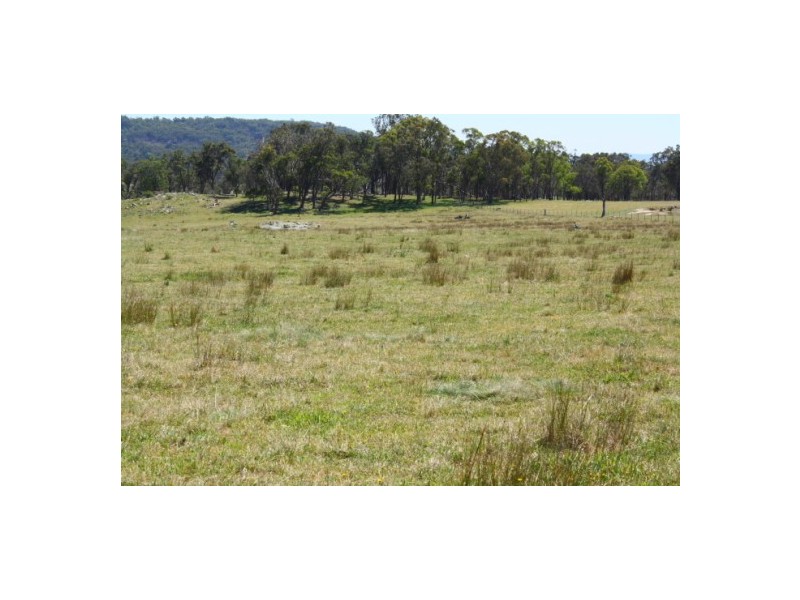 Tenterfield NSW 2372