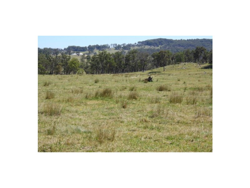 Tenterfield NSW 2372