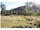 Tenterfield NSW 2372