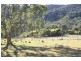 Tenterfield NSW 2372