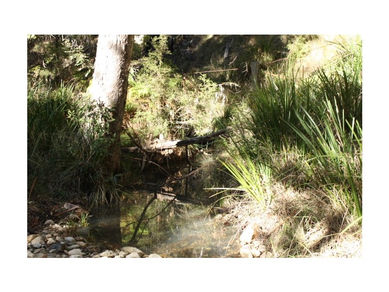 Tenterfield NSW 2372