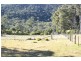 Tenterfield NSW 2372
