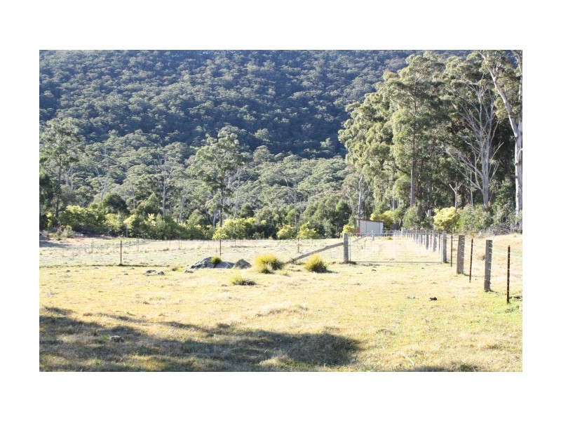 Tenterfield NSW 2372