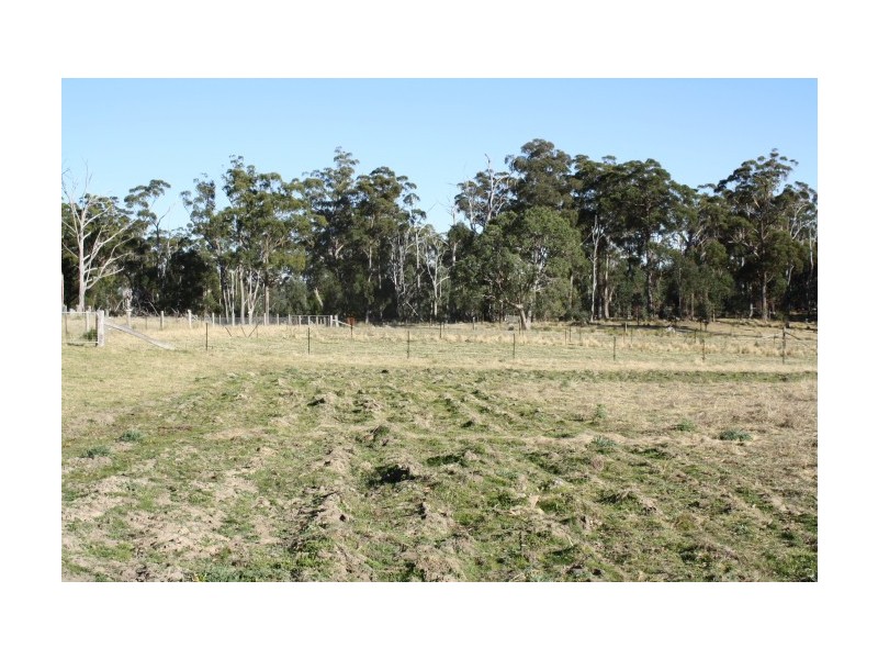 Tenterfield NSW 2372