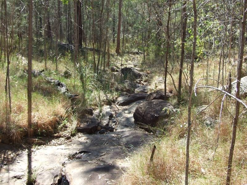 Drake NSW 2469