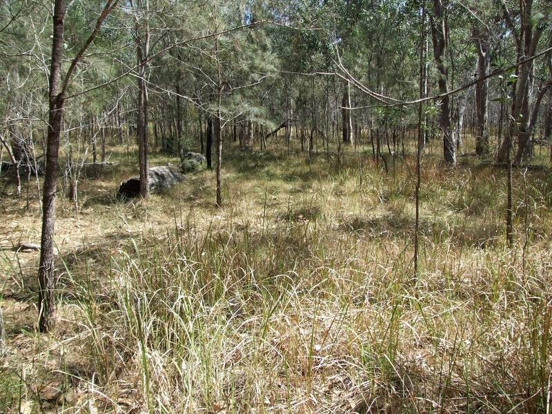 Drake NSW 2469