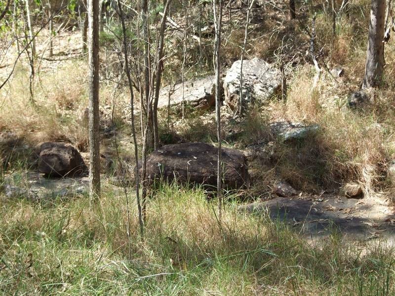 Drake NSW 2469