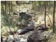 Drake NSW 2469