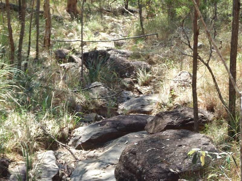 Drake NSW 2469