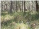 Drake NSW 2469