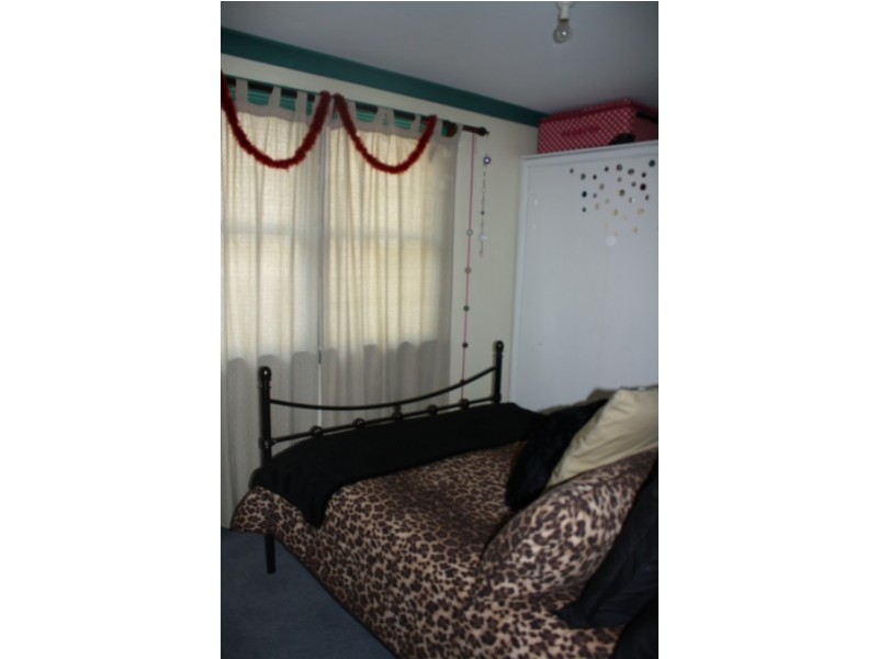 Tenterfield NSW 2372