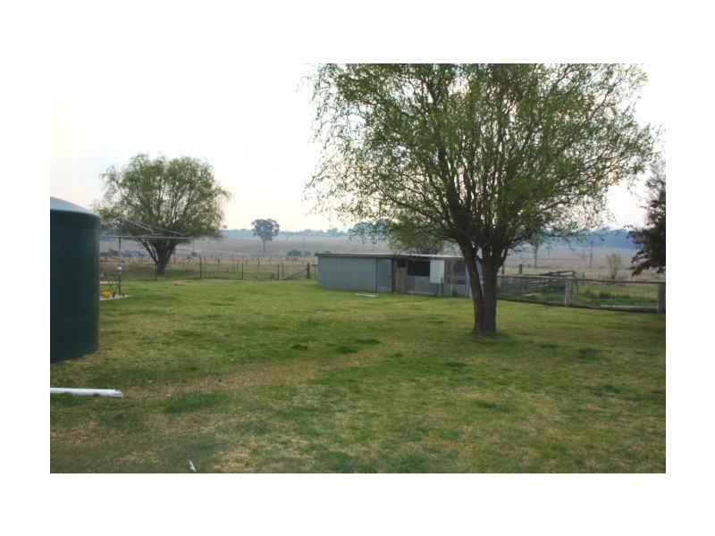 Tenterfield NSW 2372